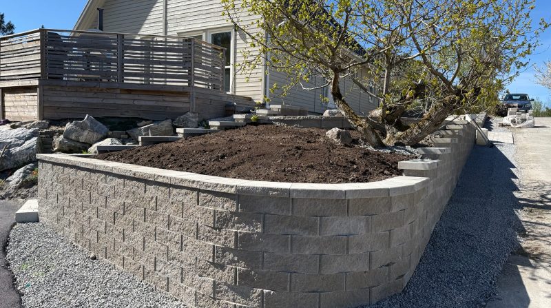 Mur / Trappa